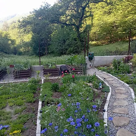 Apartman U Antona
