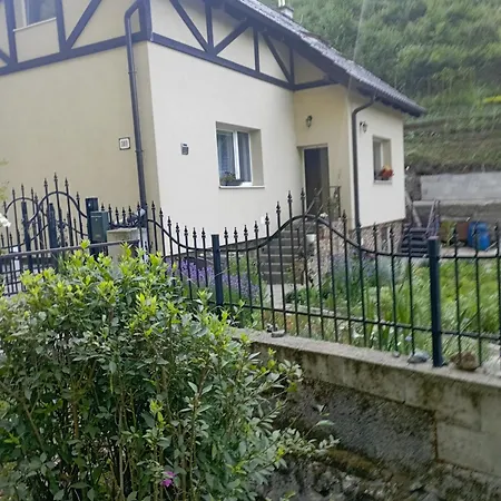 Apartman U Antona *